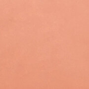 tan-2