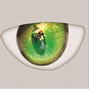 dolls-castle-snivy-eye-clors-4