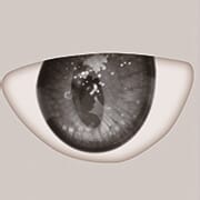 dolls-castle-snivy-eye-clors-5