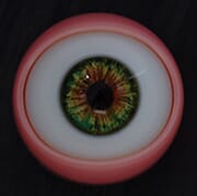 wm-dolls-ultra-light-silicone-eye-options-1