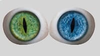 blue-green_1