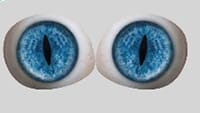blue_1