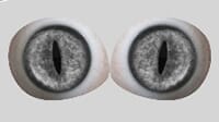 gray_1