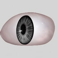 gray_1