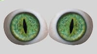 green_1