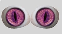 pink_1