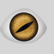 yellow_1