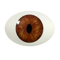 brown_1