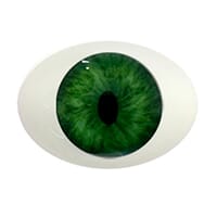 green_1