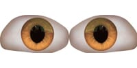 orange_1