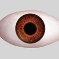 orange_1