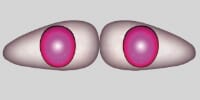 pink_1