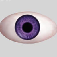 purple_1