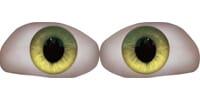 yellow_1