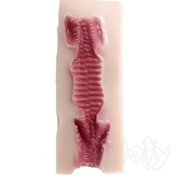 09-13cm