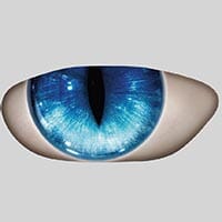 blue_1