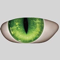 green_1