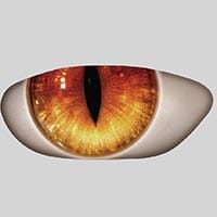 orange_1