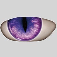purple_1