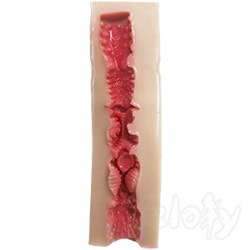默认免费（18cm）Free (Default)