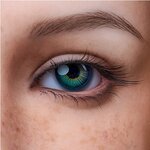 Erovenus ROS Heads Eyes – 12